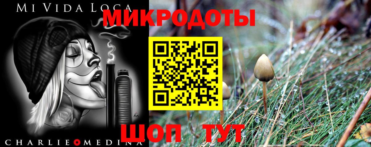 Псилоцибиновые грибы Cubensis  Вход с VPN  Нефтекумск  Галлюциногенные грибы GOLDEN TEACHER 